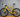 What Are the Best Gravel Bikes Under $1000 in 2024?