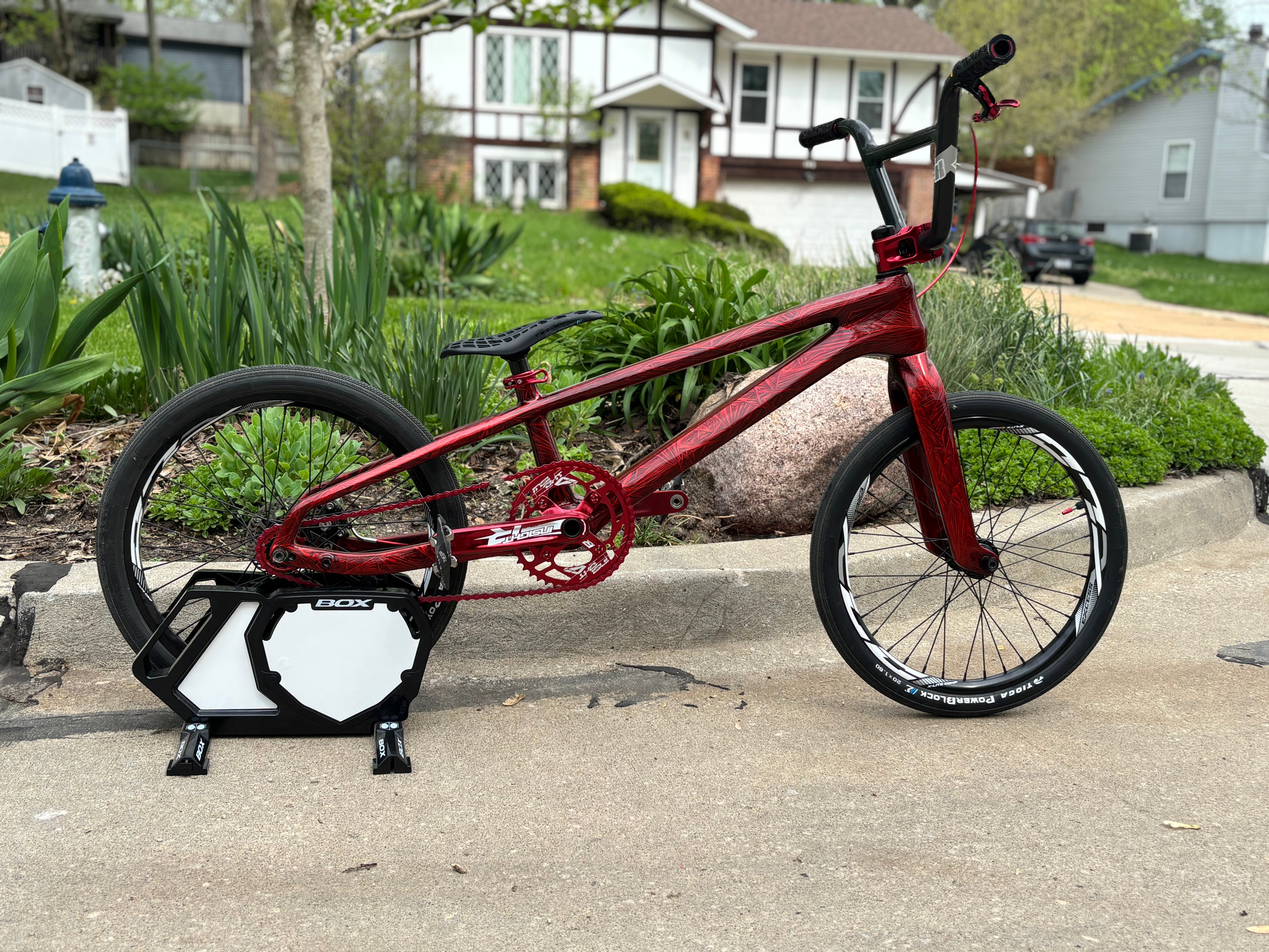 IMG_2619.jpg?v=1749109198