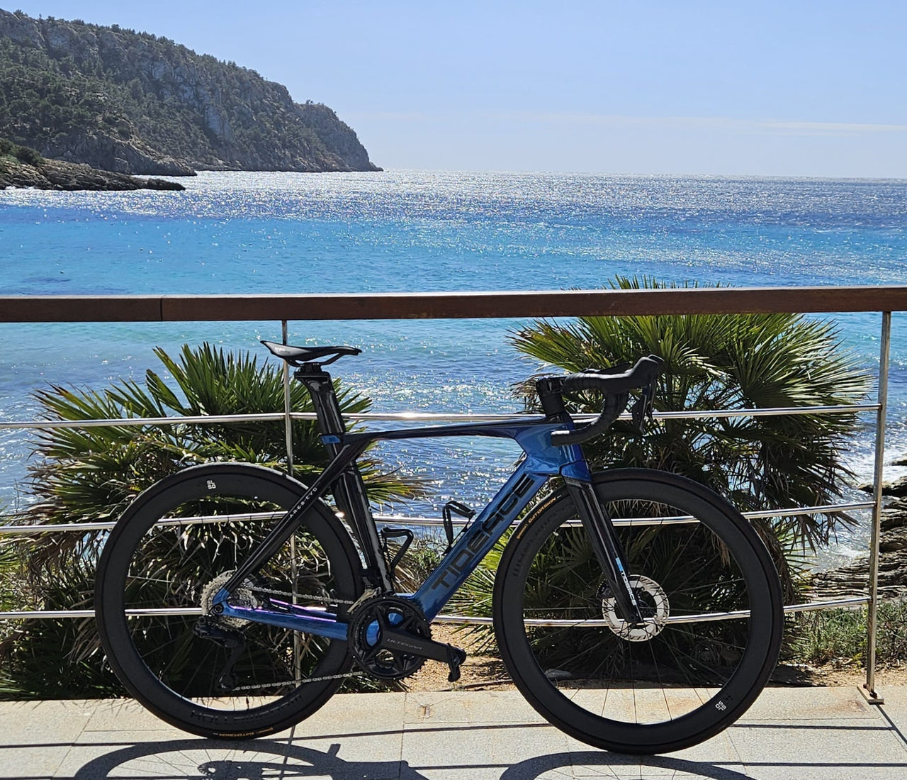 Customize Your Carbon Bike Frame: Colors, Paint & Design – TIDEACEBIKE