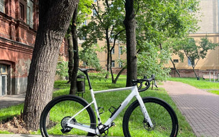 udh gravel bike