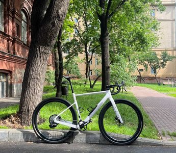 udh gravel bike