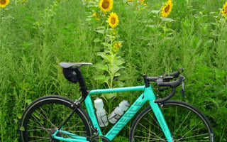 carbon all road bike frames
