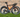 carbon road bike frameset