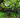 rear suspension mountain bike