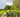 Carbon Fiber Mountain Bikes