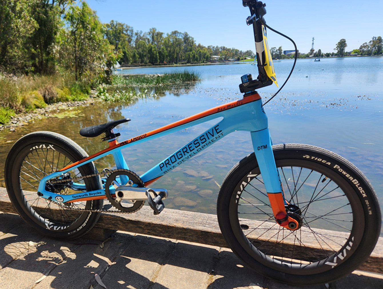 Tideacebike T800 Full Carbon BMX Racing Bike Frame Light Weight ...