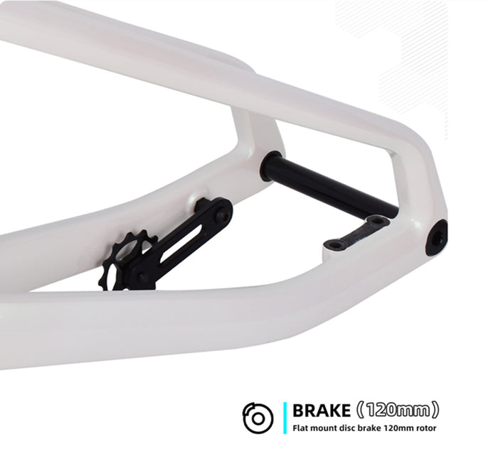 carbon bicycle motocross frame