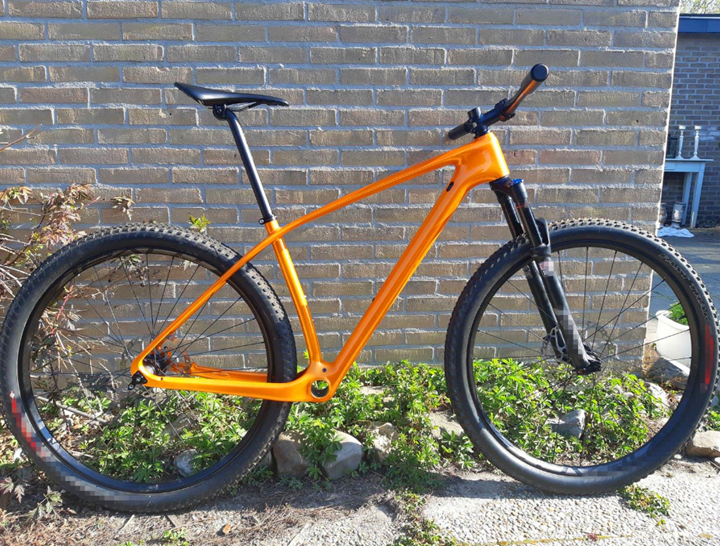 carbon rigid mountain bikes
