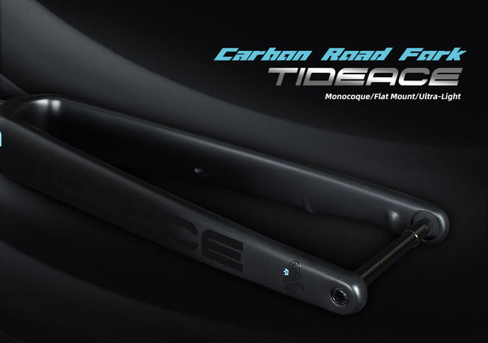 CARBON ROAD FORK