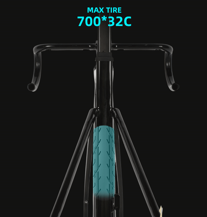 carbon racing bicycle